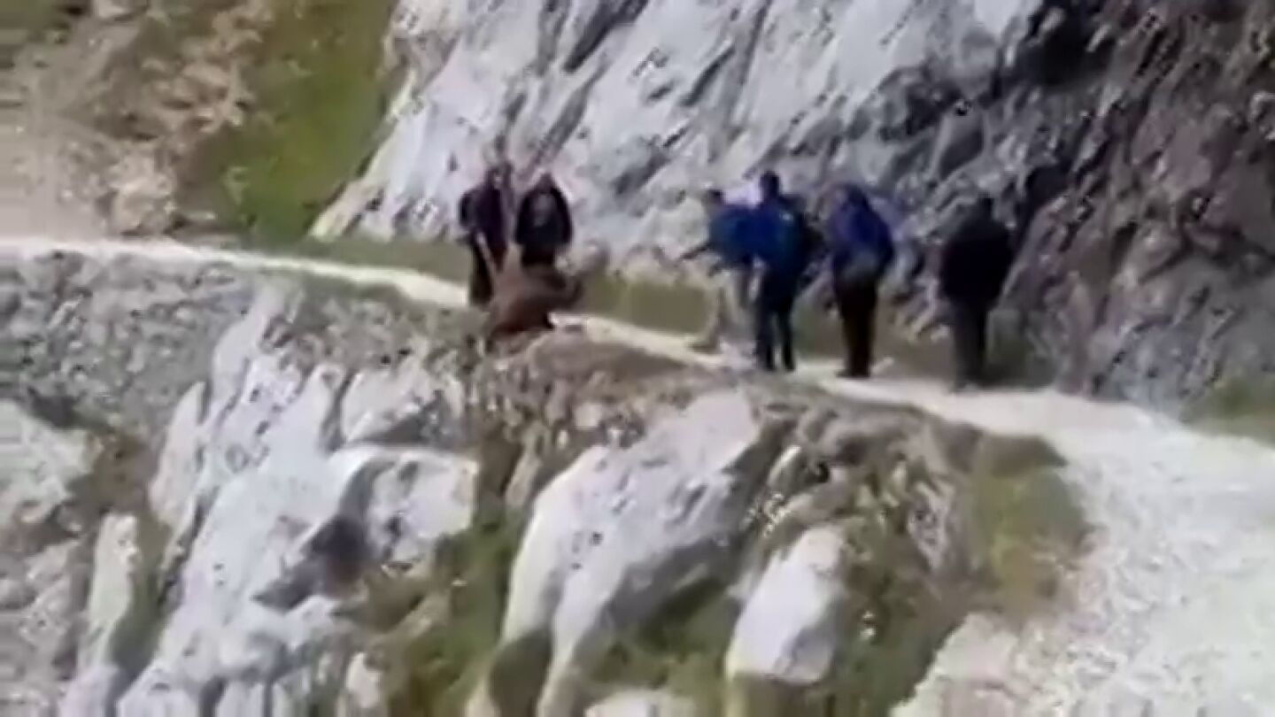 Un grupo de senderistas despe&ntilde;a a un jabal&iacute; en la Ruta del Cares