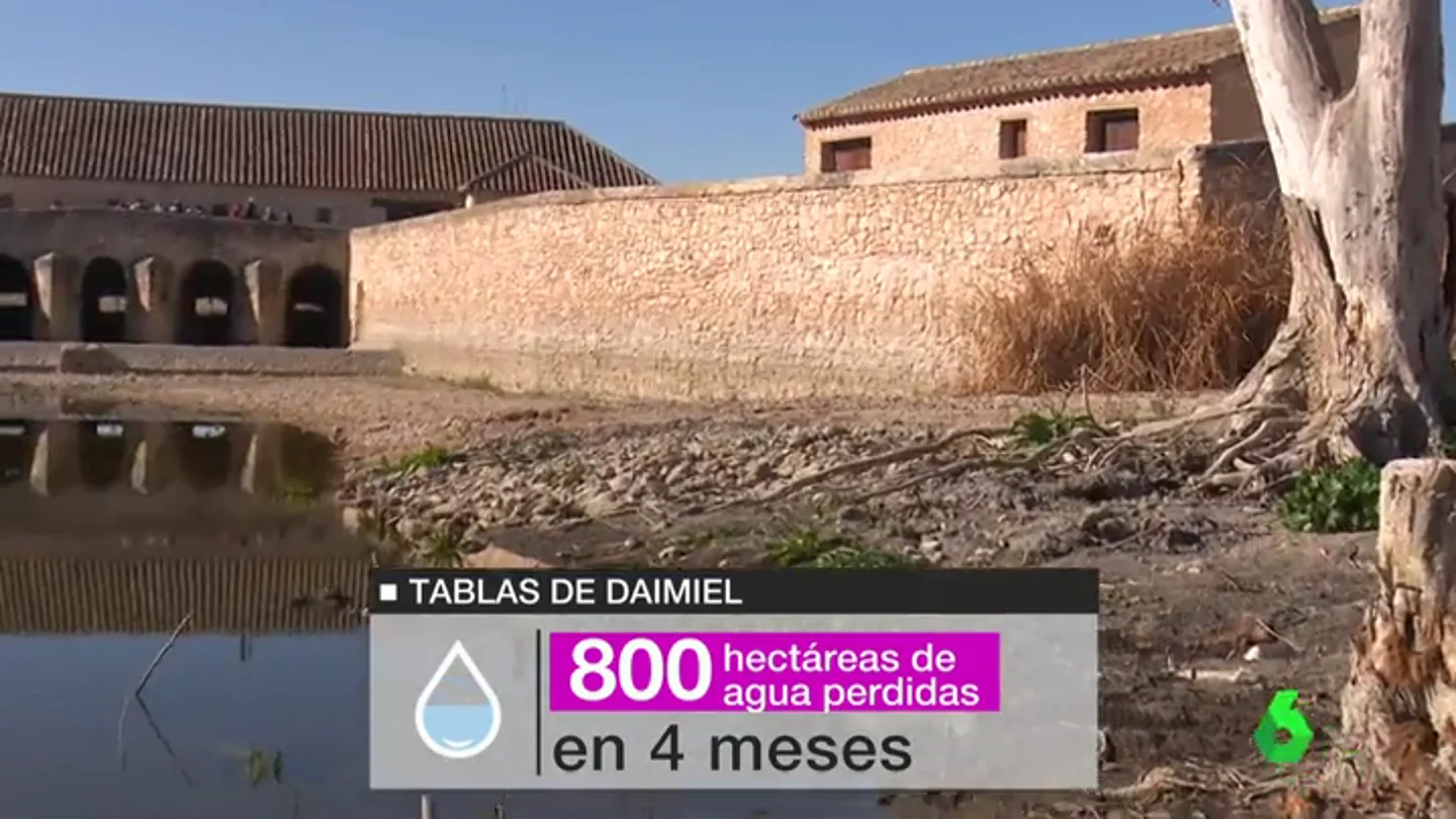Miles de peces muertos o restricciones de agua , los terribles efectos de la sequía Miles de peces muertos o restricciones de agua , los terribles efectos de la sequía