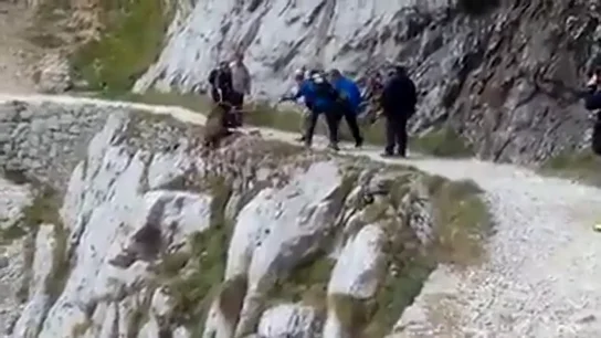 Unos senderistas tiran a un jabalí por un precipicio Unos senderistas tiran a un jabalí por un precipicio