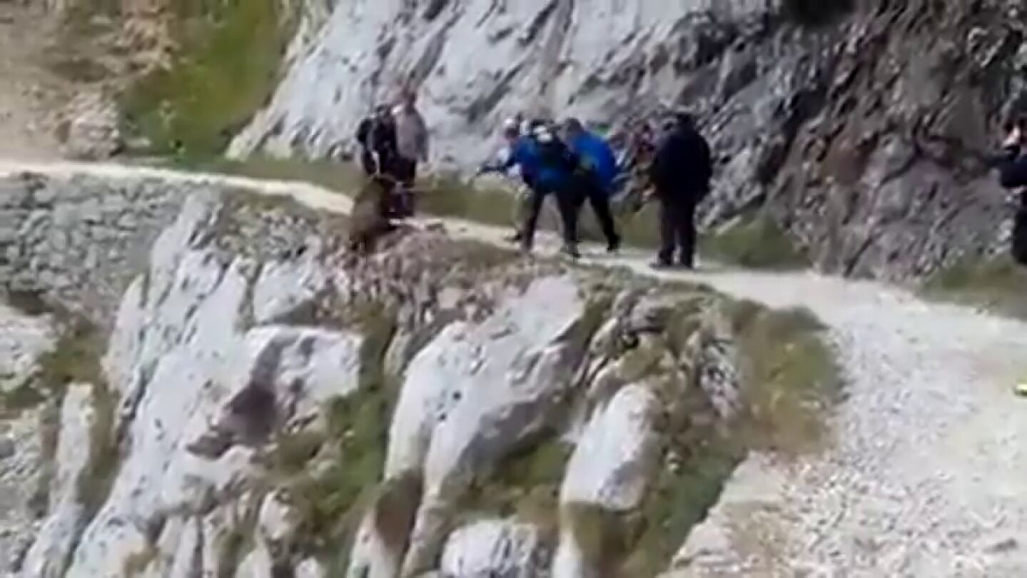 Unos senderistas tiran a un jabal&iacute; por un precipicio