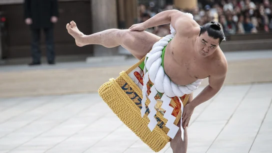 El campeón de sumo Harumafuji Kohei. El campeón de sumo Harumafuji Kohei.