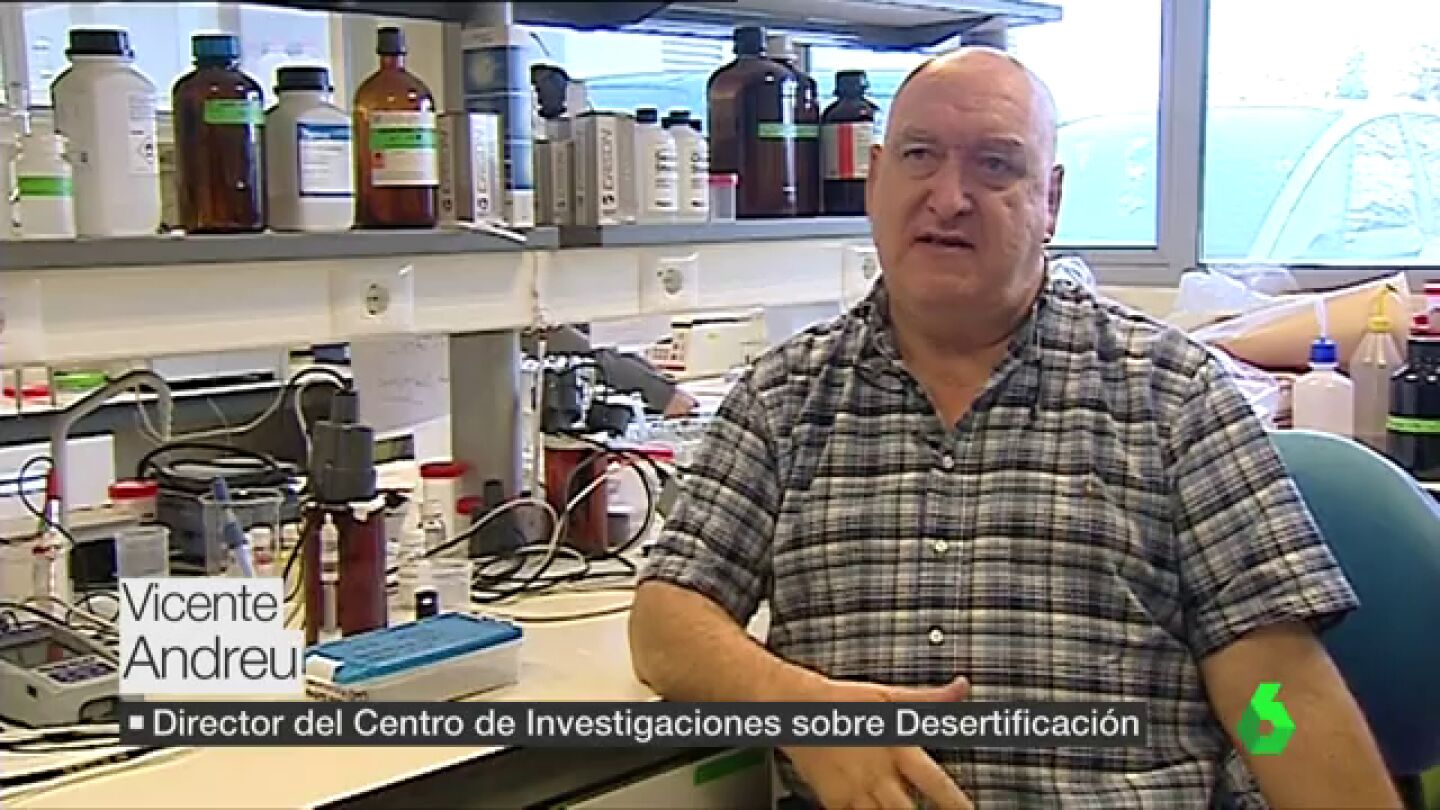 Vicente Andreu, director del centro de investigaciones sobre desertificaci&oacute;n