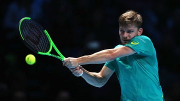 David Goffin