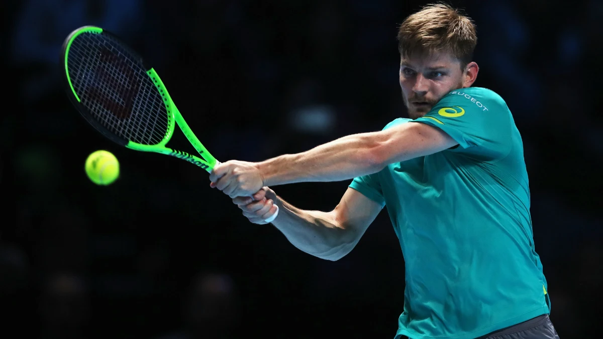 David Goffin