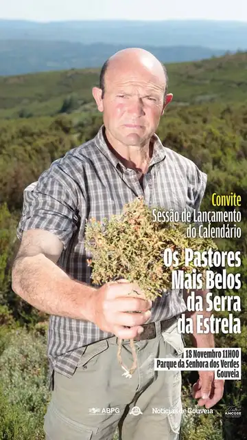 Los pastores lusos crean su "Pirelli" para ayudar a víctimas de los incendios Los pastores lusos crean su "Pirelli" para ayudar a víctimas de los incendios