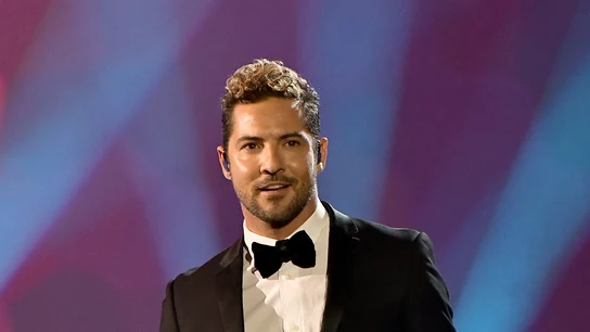 David Bisbal en la gala homenaje a Alejandro Sanz David Bisbal en la gala homenaje a Alejandro Sanz