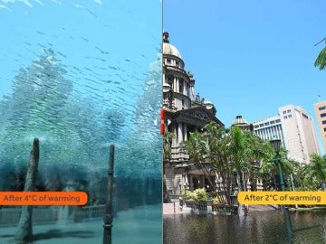 Efectos del cambio climático en el planeta Efectos del cambio climático en el planeta