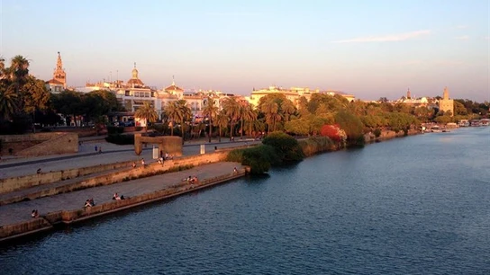 Calle Torneo de Sevilla, junto al Guadalquivir Calle Torneo de Sevilla, junto al Guadalquivir