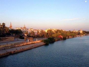 Calle Torneo de Sevilla, junto al Guadalquivir Calle Torneo de Sevilla, junto al Guadalquivir
