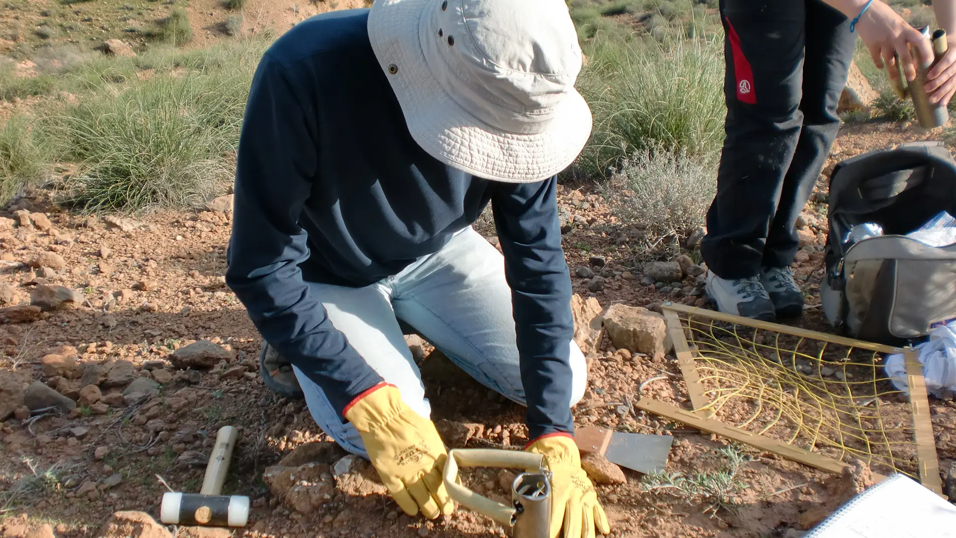 Los patrones ecologicos de las bacterias del suelo al descubierto