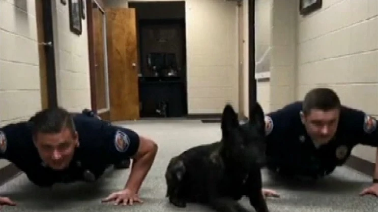 Un perro policía de Alabama revoluciona las redes haciendo flexiones junto a sus cuidadores