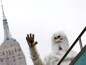 Resuelven el misterio del origen de Yeti gracias a muestras de ADN Resuelven el misterio del origen de Yeti gracias a muestras de ADN