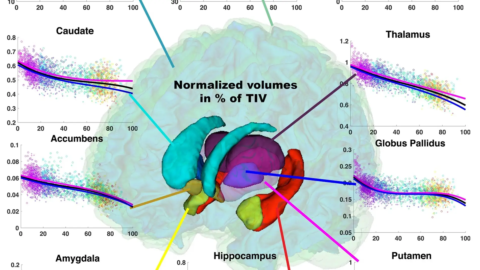 Como cambia nuestro cerebro a lo largo de la vida