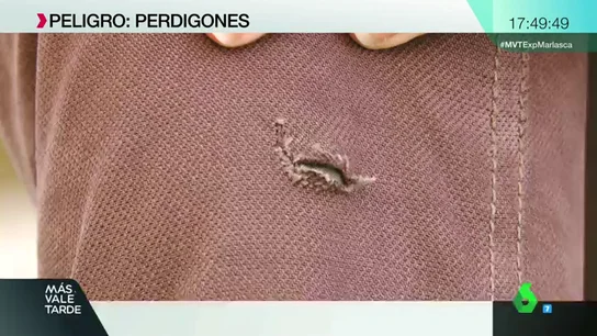 perdigones OKKK perdigones OKKK