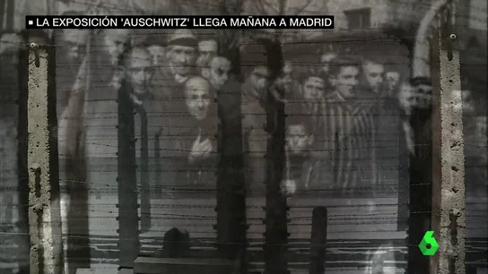 Exposición de Auschwitz Exposición de Auschwitz