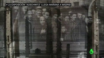 Exposición de Auschwitz