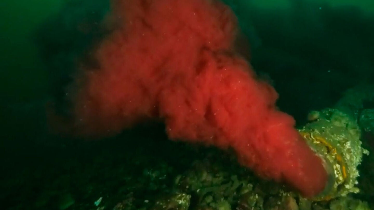 Imagen de la tuber&iacute;a expulsando sangre contaminada