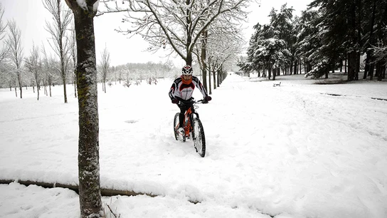 Un ciclista se aventura en el parque de Olarizu de Vitoria, ciudad que ha amanecido cubierta por la nieve Un ciclista se aventura en el parque de Olarizu de Vitoria, ciudad que ha amanecido cubierta por la nieve