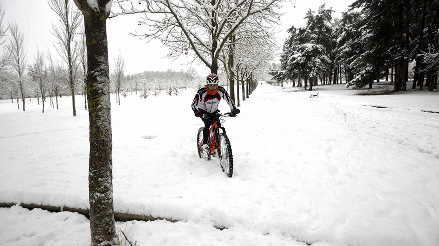 Un ciclista se aventura en el parque de Olarizu de Vitoria, ciudad que ha amanecido cubierta por la nieve Un ciclista se aventura en el parque de Olarizu de Vitoria, ciudad que ha amanecido cubierta por la nieve