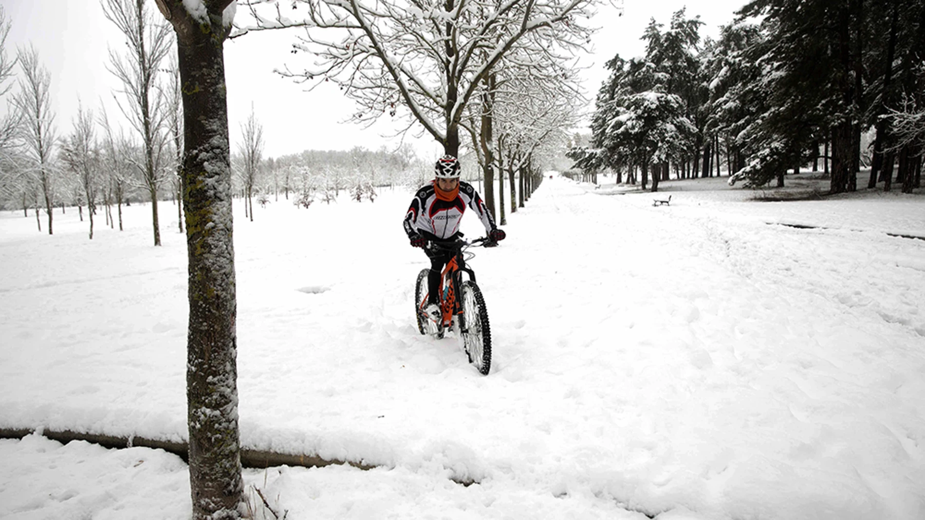 Un ciclista se aventura en el parque de Olarizu de Vitoria, ciudad que ha amanecido cubierta por la nieve