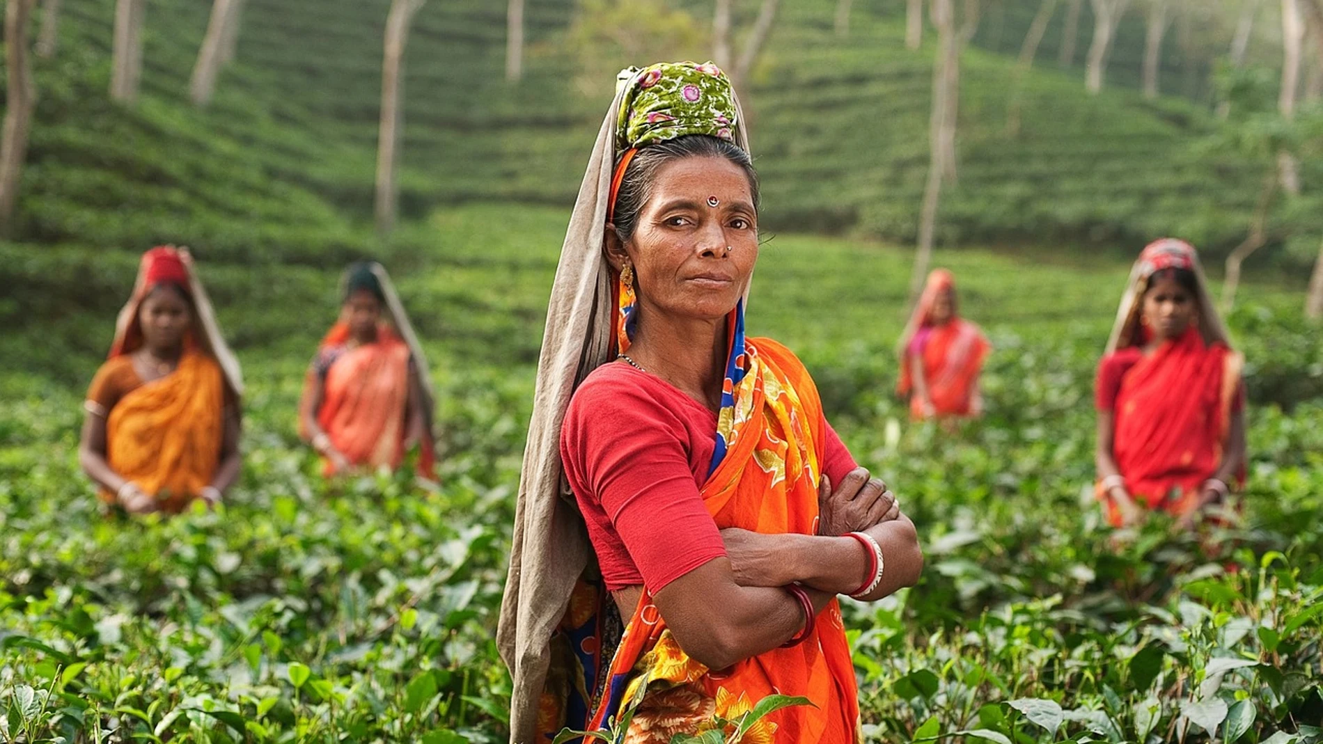 Mujeres trabajando en los campos de la India