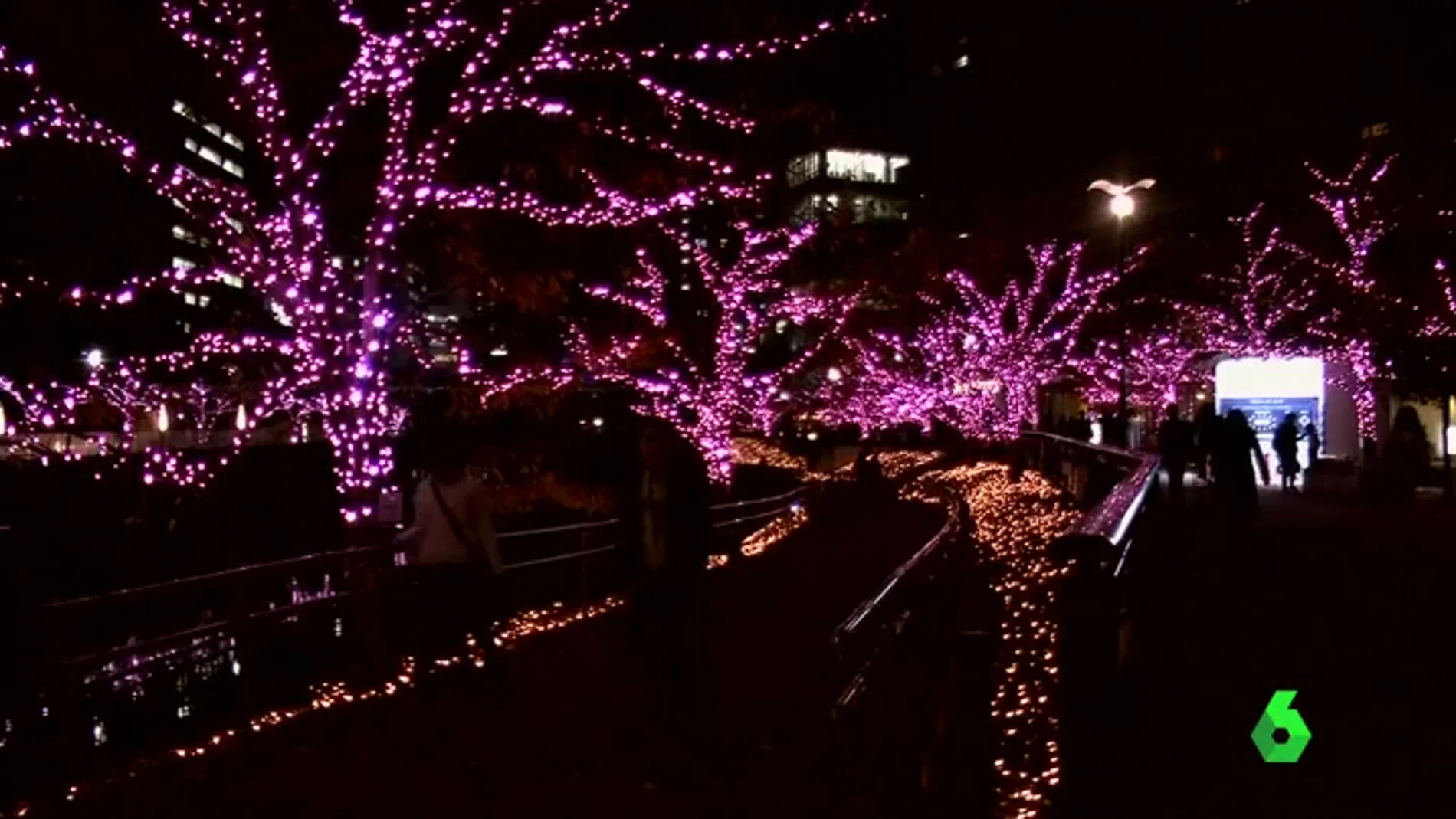 Miles de luces LED iluminan Tokio de forma ecológica por Navidad