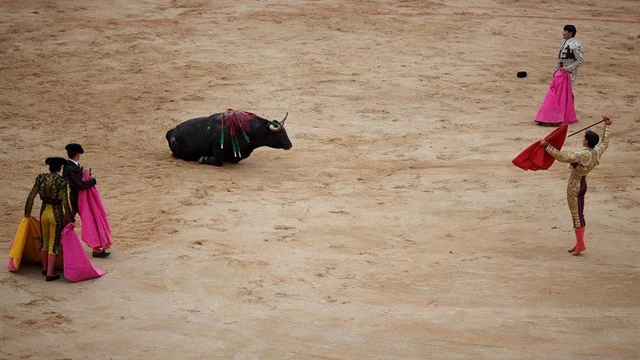 Imagen de una corrida de toros