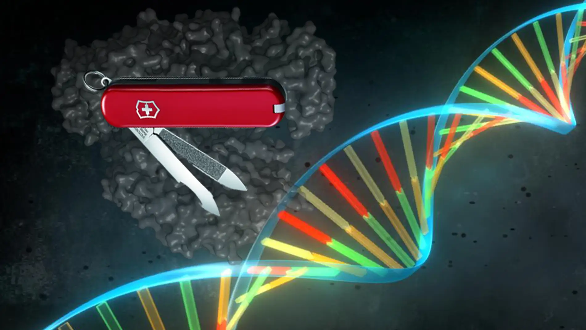 En busca de la navaja suiza de CRISPR