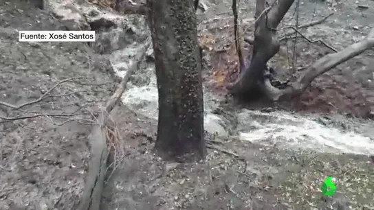 Las cenizas de los incendios llegan hasta algunos ríos Las cenizas de los incendios llegan hasta algunos ríos