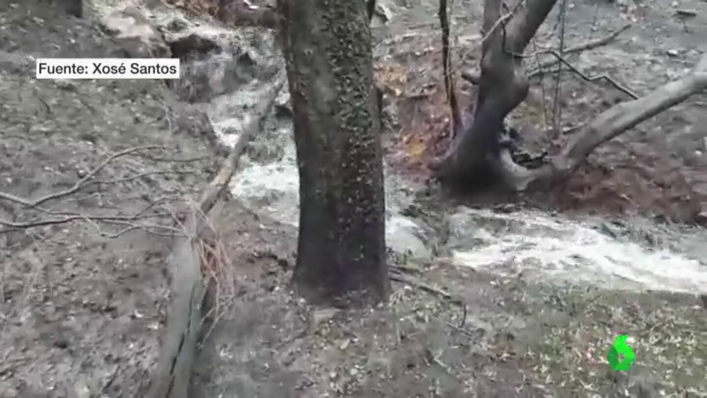 Las cenizas de los incendios llegan hasta algunos r&iacute;os