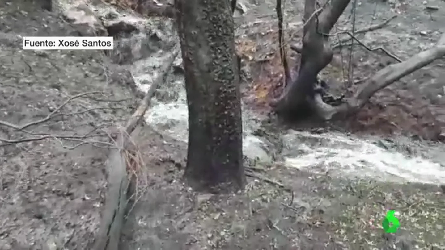 Las cenizas de los incendios llegan hasta algunos ríos Las cenizas de los incendios llegan hasta algunos ríos