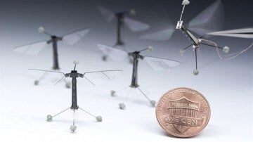 'Robots insecto' desarrollados por Harvard