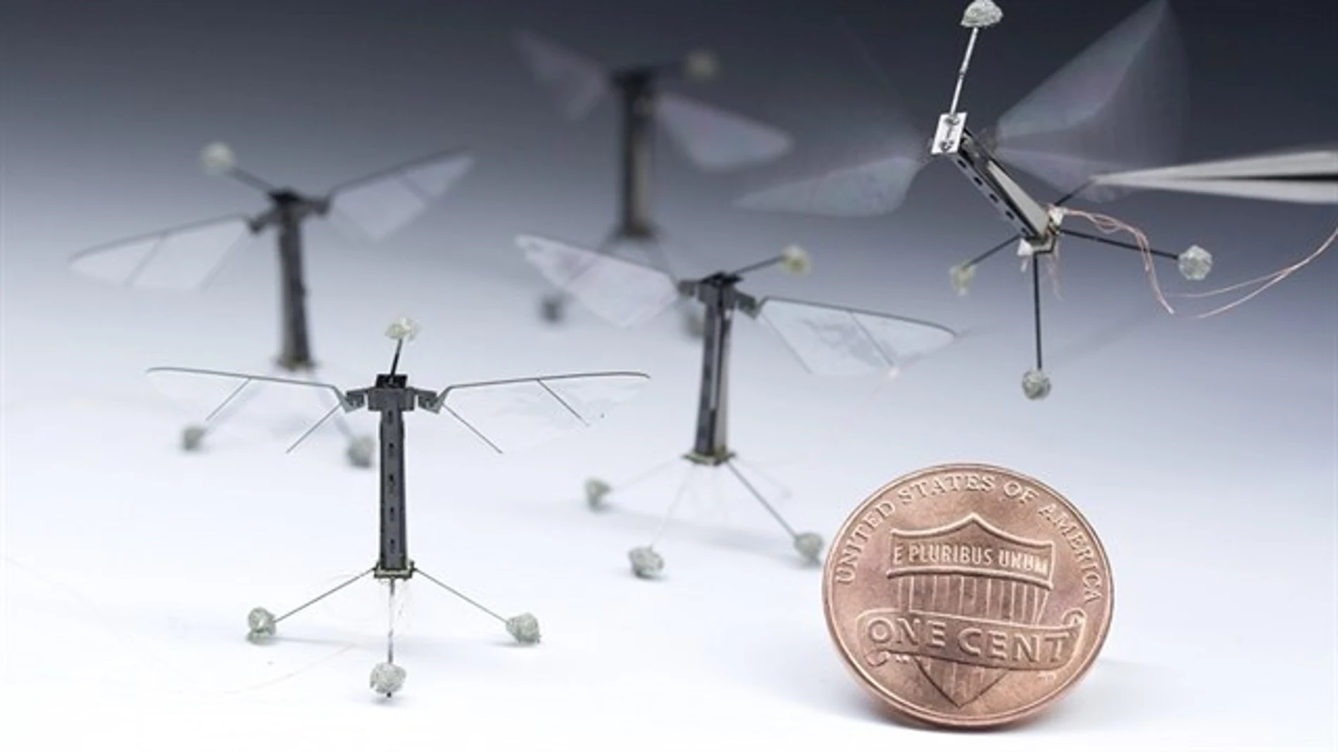 'Robots insecto' desarrollados por Harvard