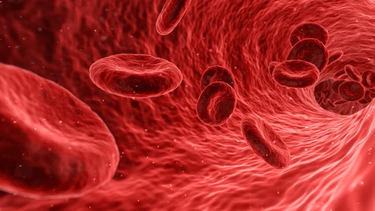 Foto ampliada de los glóbulos rojos de la sangre Foto ampliada de los glóbulos rojos de la sangre