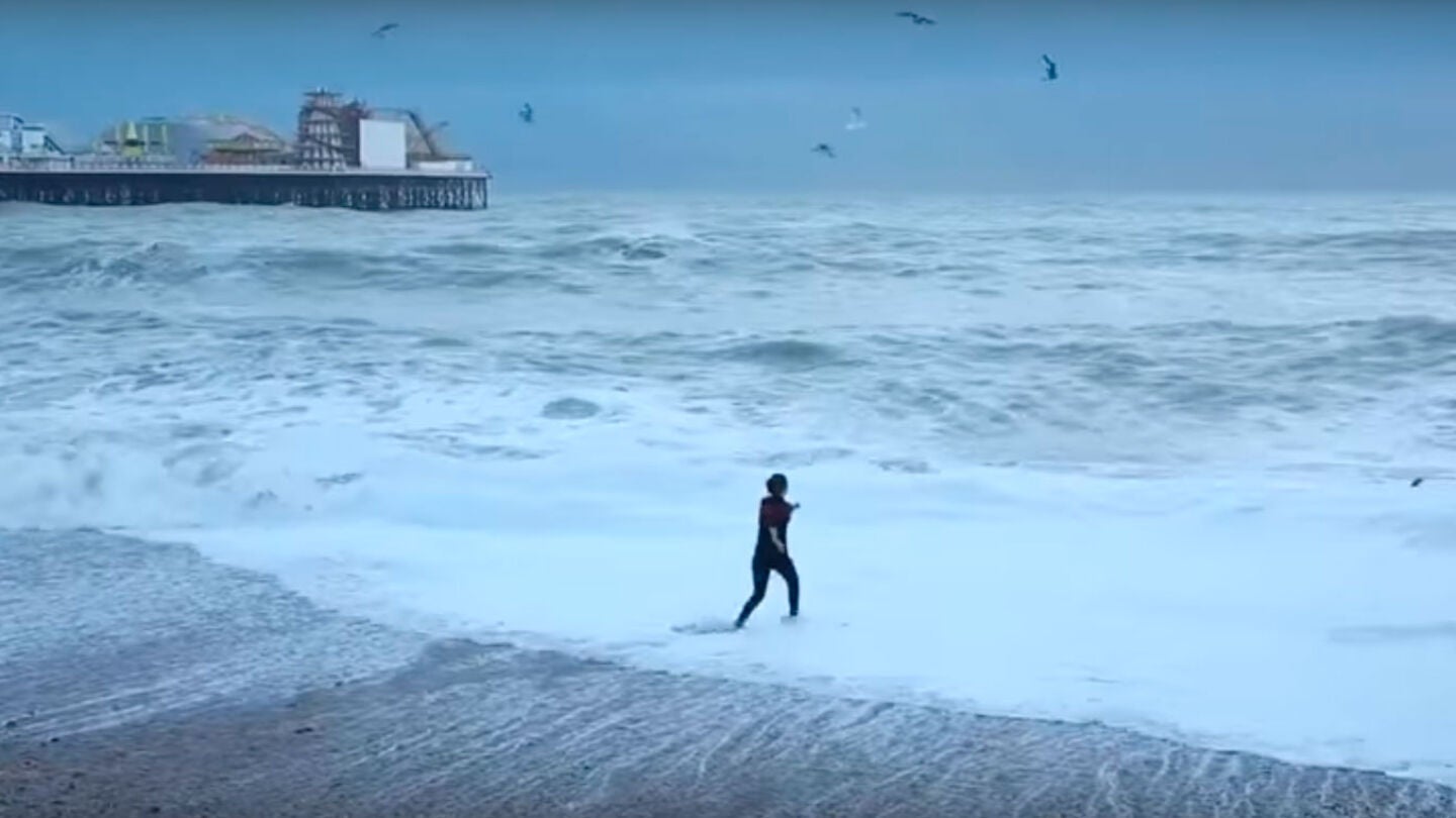 Fragmento del v&iacute;deo de una mujer rescatando a su perro del fuerte oleaje