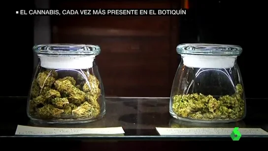 El cannabis, cada vez más presente en el botiquín El cannabis, cada vez más presente en el botiquín