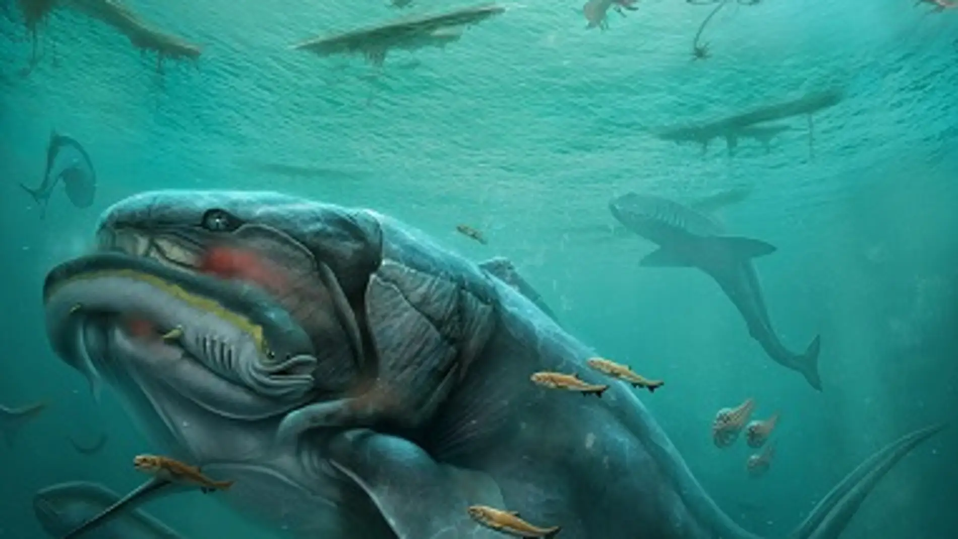Asi fue uno de los primeros vertebrados hace mas de 350 millones de anos