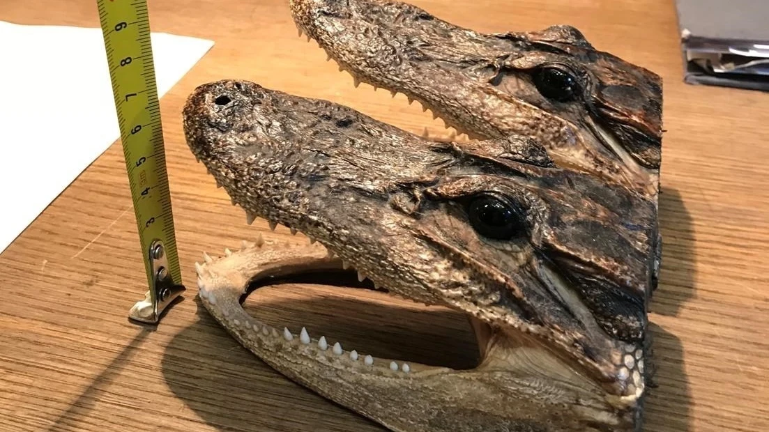 Artículos inmovilizados en Madrid