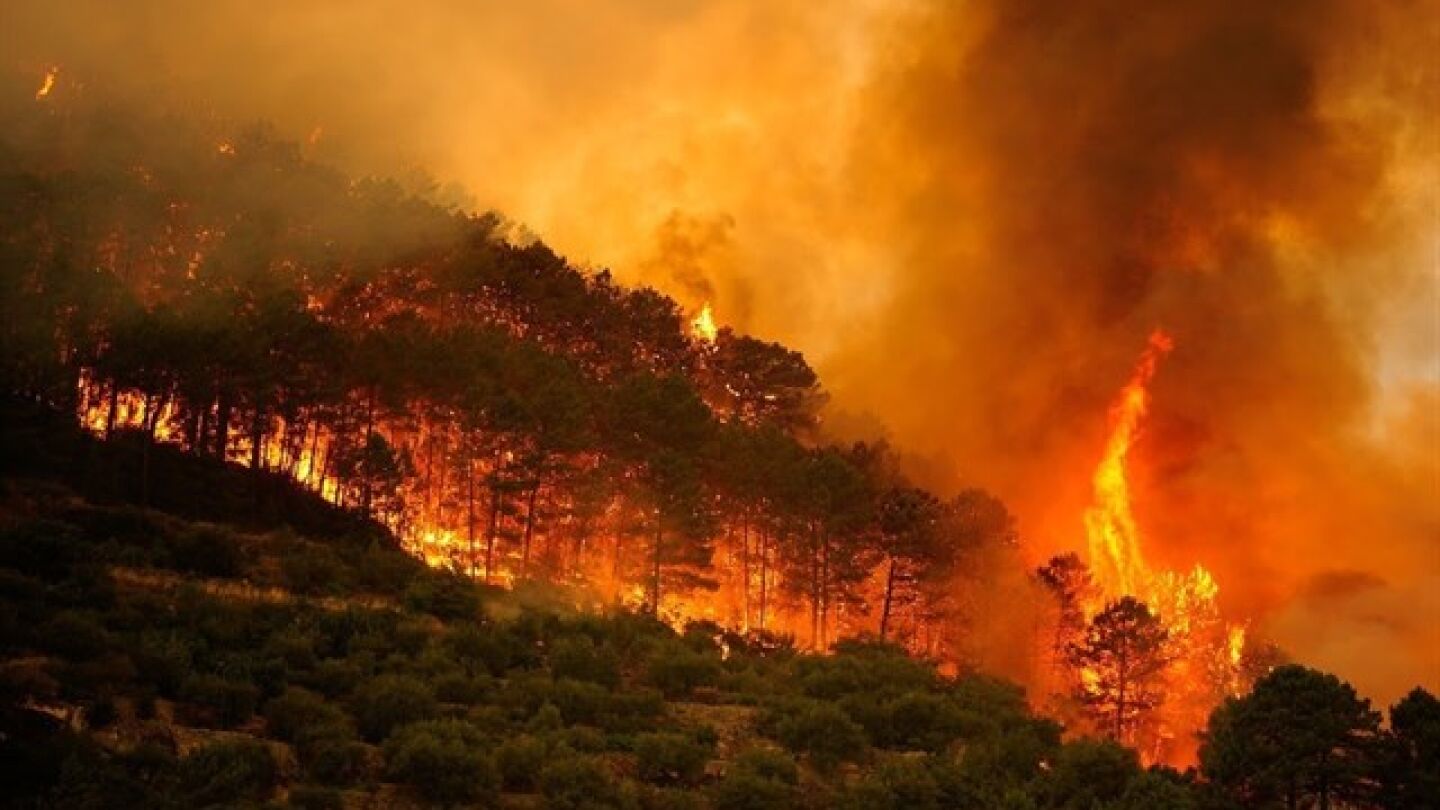 Incendios forestales 