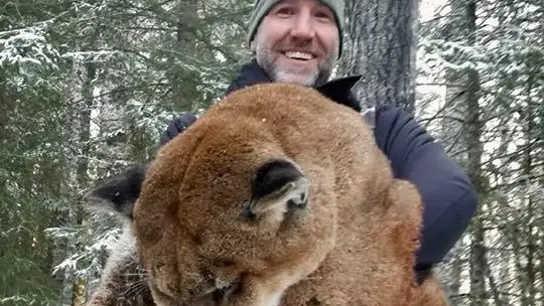 Steve Ecklund junto con el puma que ha cazado  Steve Ecklund junto con el puma que ha cazado