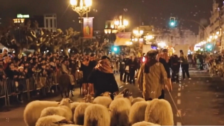 Ovejas en una cabalgata de Reyes