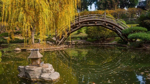 Lugares cool de Los Ángeles que los locales no quieren que conozcas 