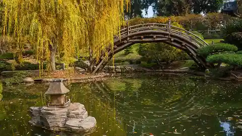 Jardines del The Tea Room en la Biblioteca Huntington Lugares cool de Los Ángeles que los locales no quieren que conozcas