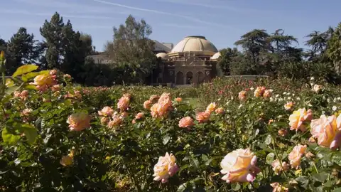 Exposition Park Rose Garden Lugares cool de Los Ángeles que los locales no quieren que conozcas