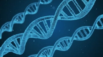 Cadena de ADN