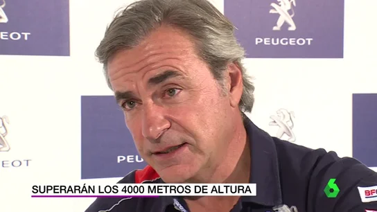 sainz sainz