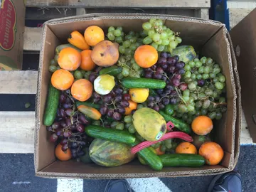 Las frutas y verduras encabezan la lista de alimentos que más se desechan Las frutas y verduras encabezan la lista de alimentos que más se desechan