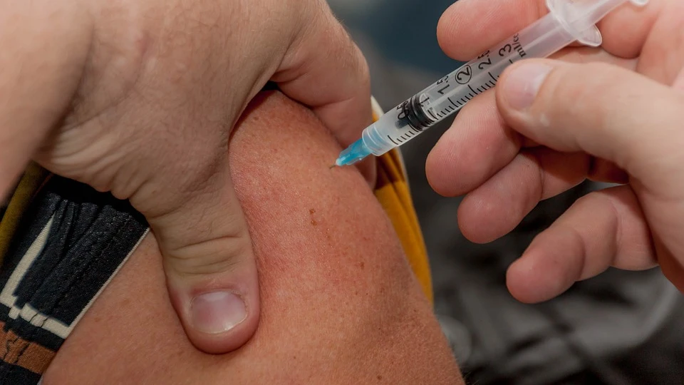 La vacunacion anual de la gripe alta proteccion frente a la mortalidad en mayores