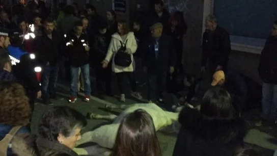 Un caballo muere en la cabalgata de Reyes en Terrasa Un caballo muere en la cabalgata de Reyes en Terrasa
