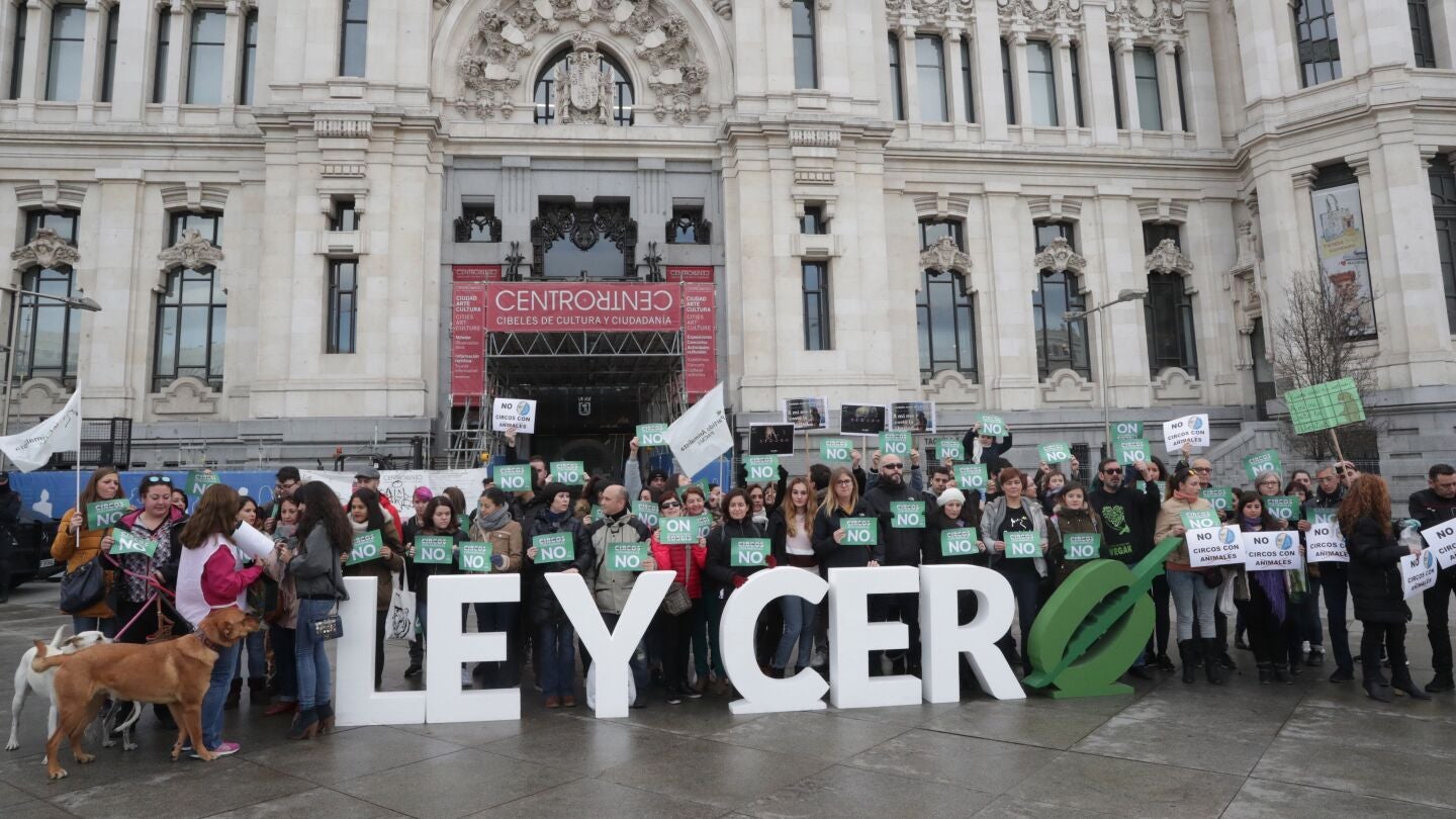 Concentraci&oacute;n convocada por el Partido Animalista-PACMA, a las puertas del Ayuntamiento de Madrid